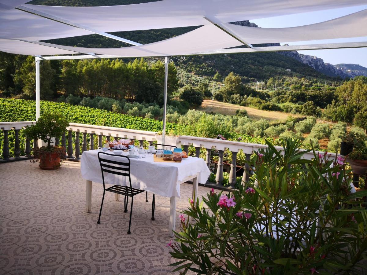 Villa Maria Dorgali Εξωτερικό φωτογραφία