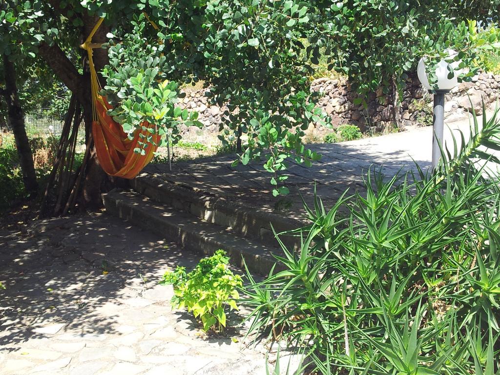 Villa Maria Dorgali Δωμάτιο φωτογραφία
