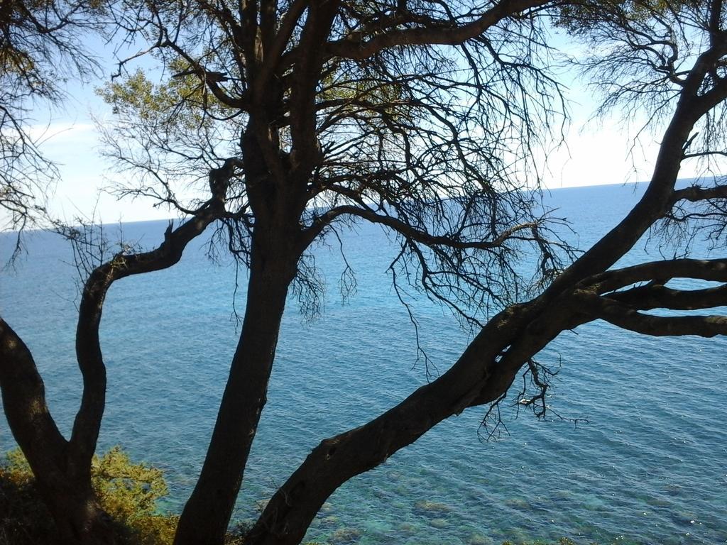 Villa Maria Dorgali Εξωτερικό φωτογραφία