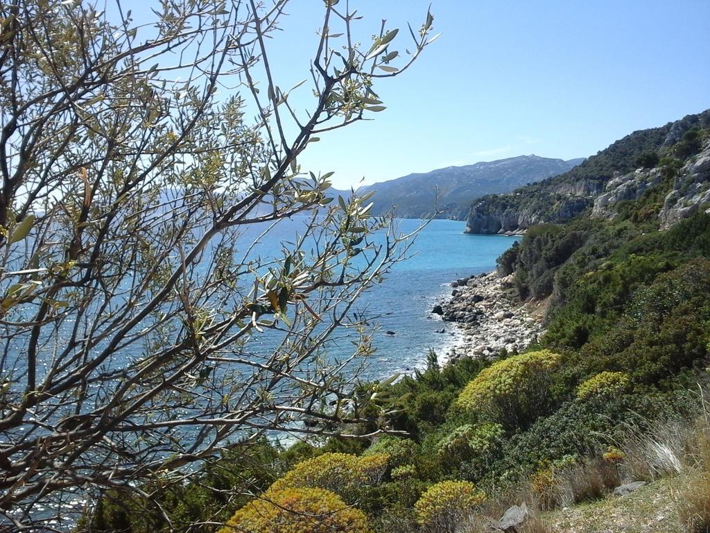 Villa Maria Dorgali Εξωτερικό φωτογραφία